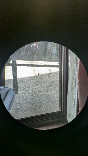 Image #1 from Anonymous